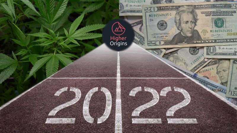 banner image for the article Industry Insights: Looking Back at the 2022 California Cannabis Industry