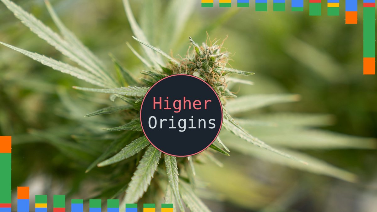 header image for California Cannabis Licensing Trends: Q3 2024 Overview