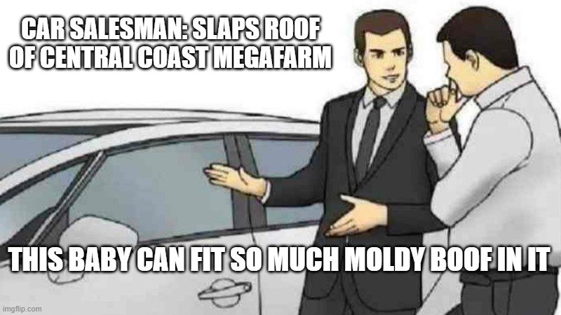 Moldy Boof