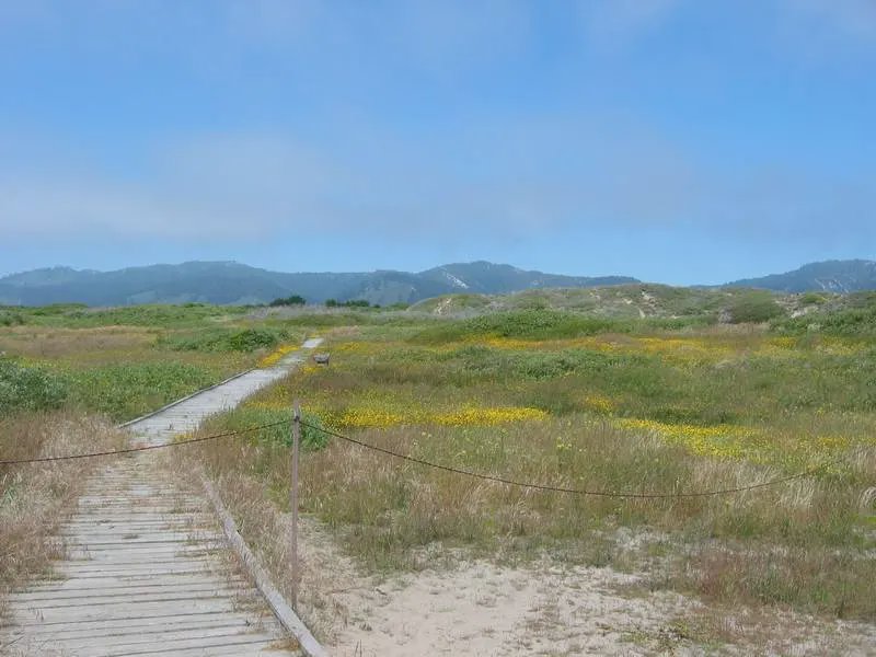 San Mateo County header image