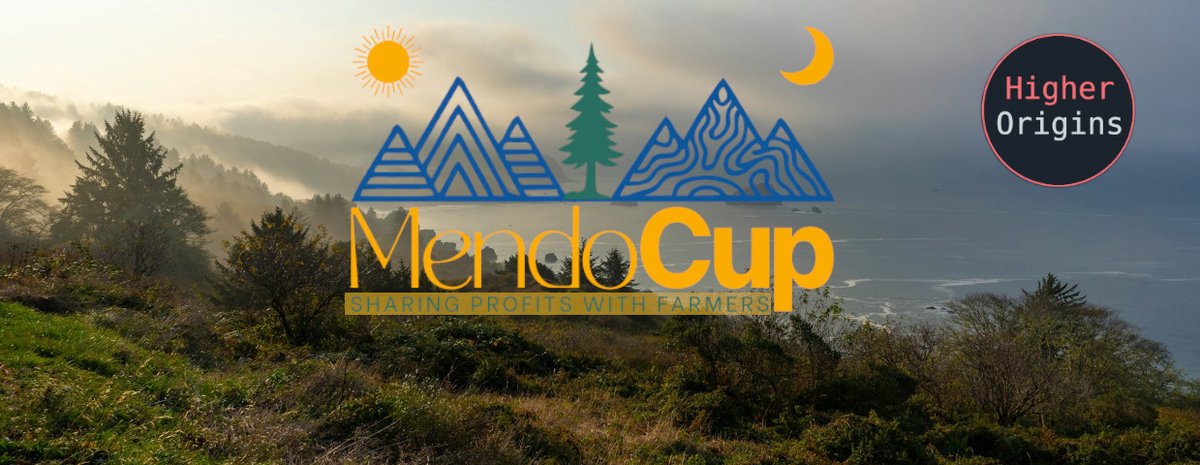 banner image for the article The 2026 Mendo Cup- Continuing The Legacy