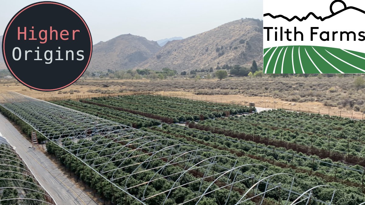 banner image for the article Farm Interview: Tilth Farms, Mono County