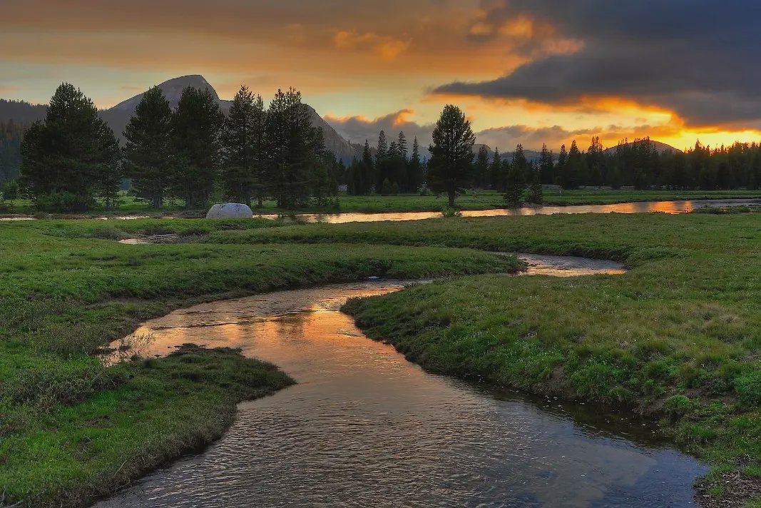 Tuolumne County header image