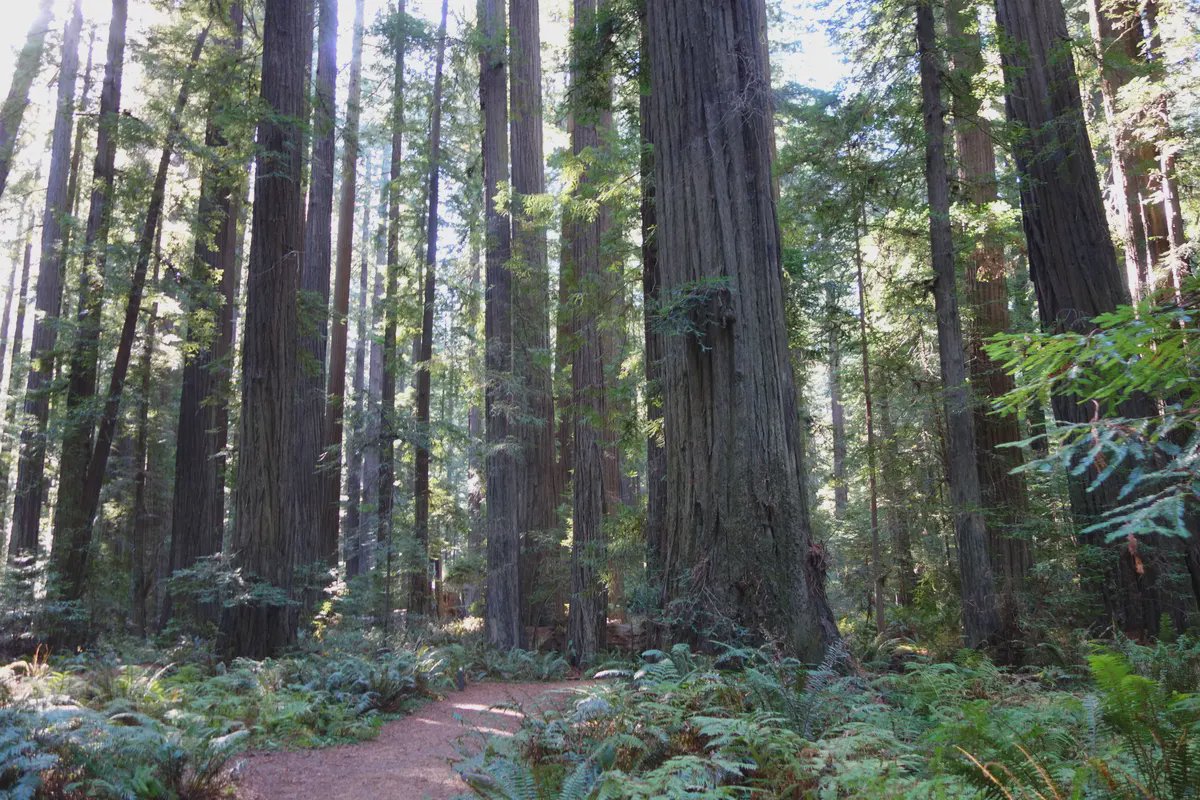 Humboldt County header image