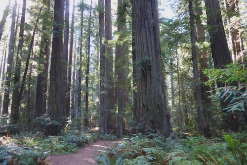 header image for region Humboldt County