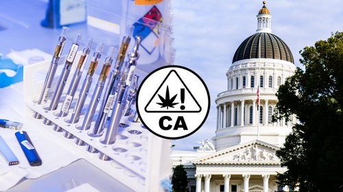 banner image for the article