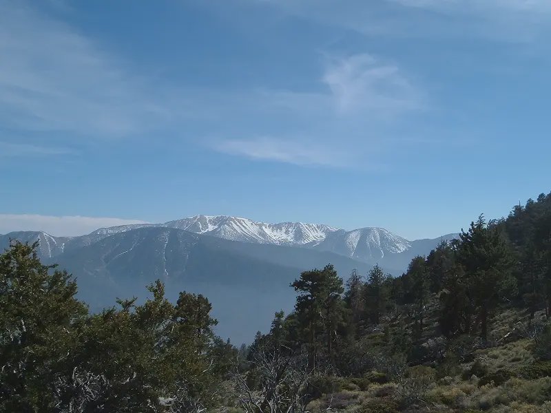 San Bernardino County header image