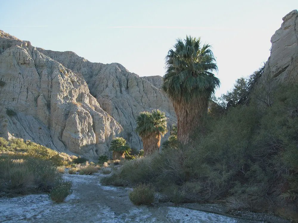 Riverside County header image