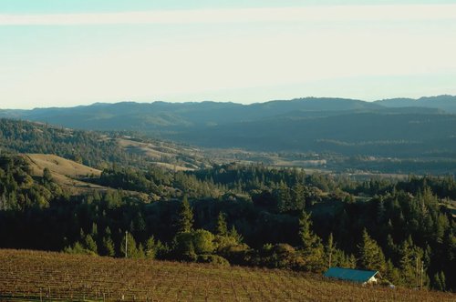 header image for region Mendocino County