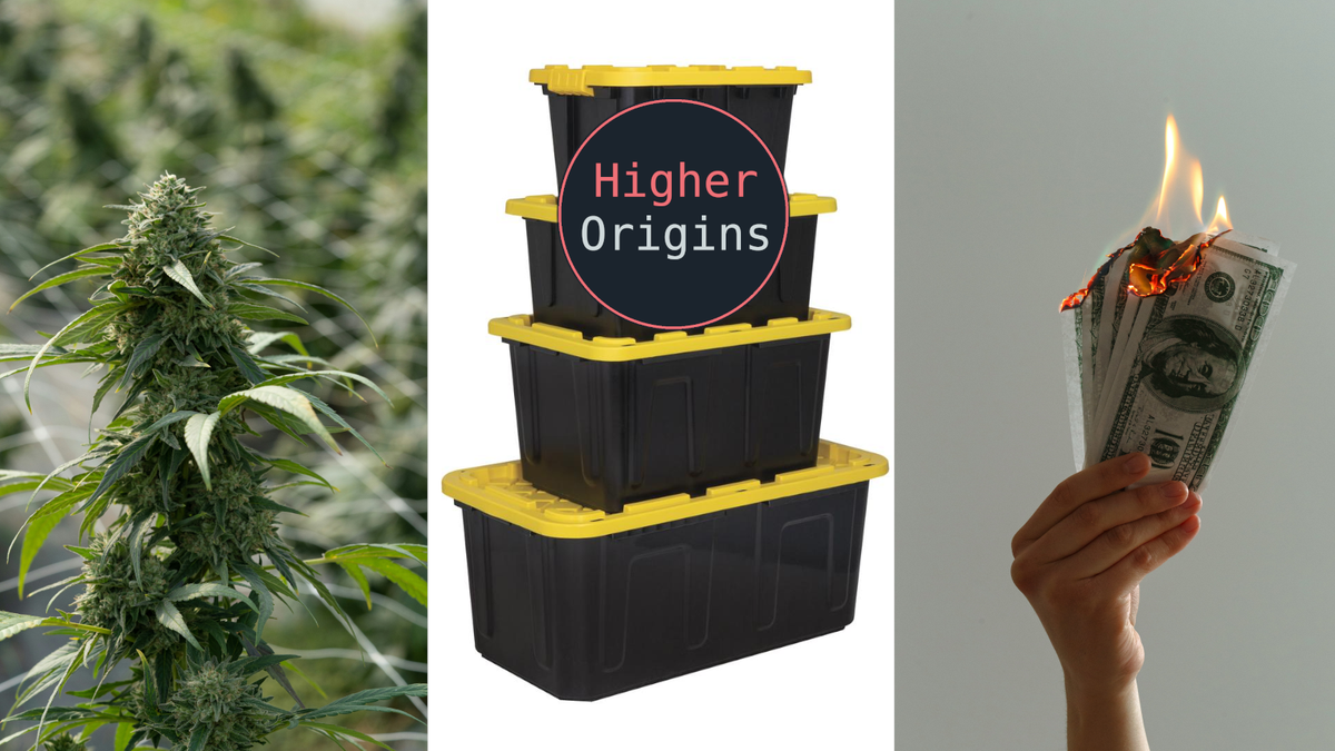 banner image for the article Ideal Cannabis Economics Part 2: Distribution and Branding