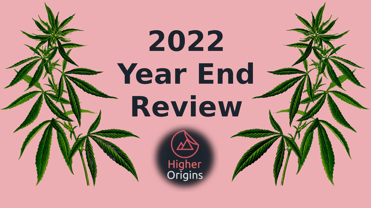 banner image for the article Higher Origins 2022 Year End Review