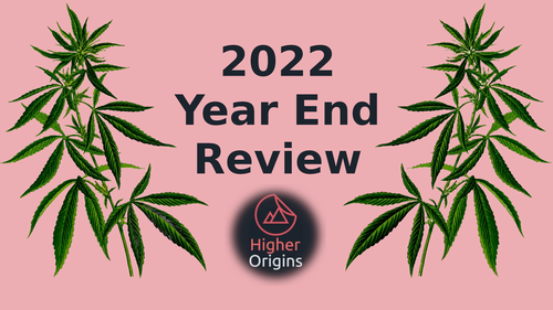 banner image for the article