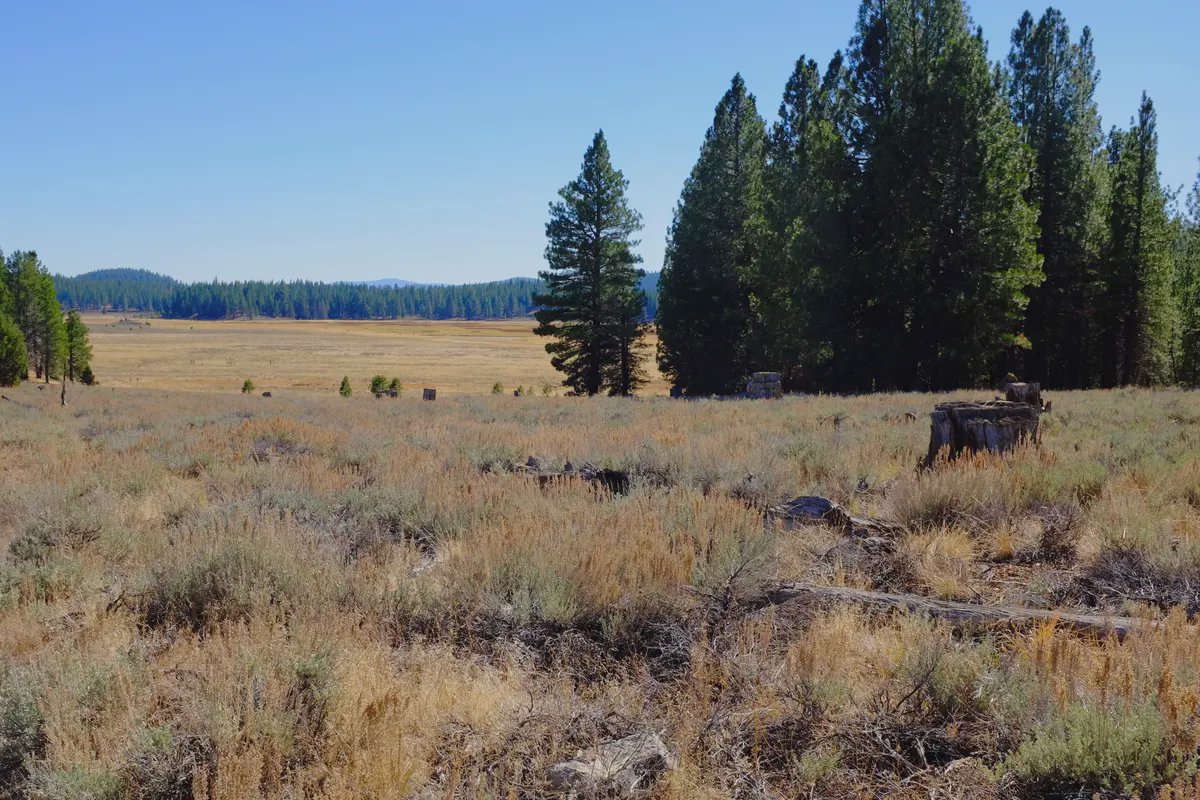 Sierra County header image