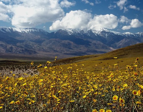 header image for region Inyo County