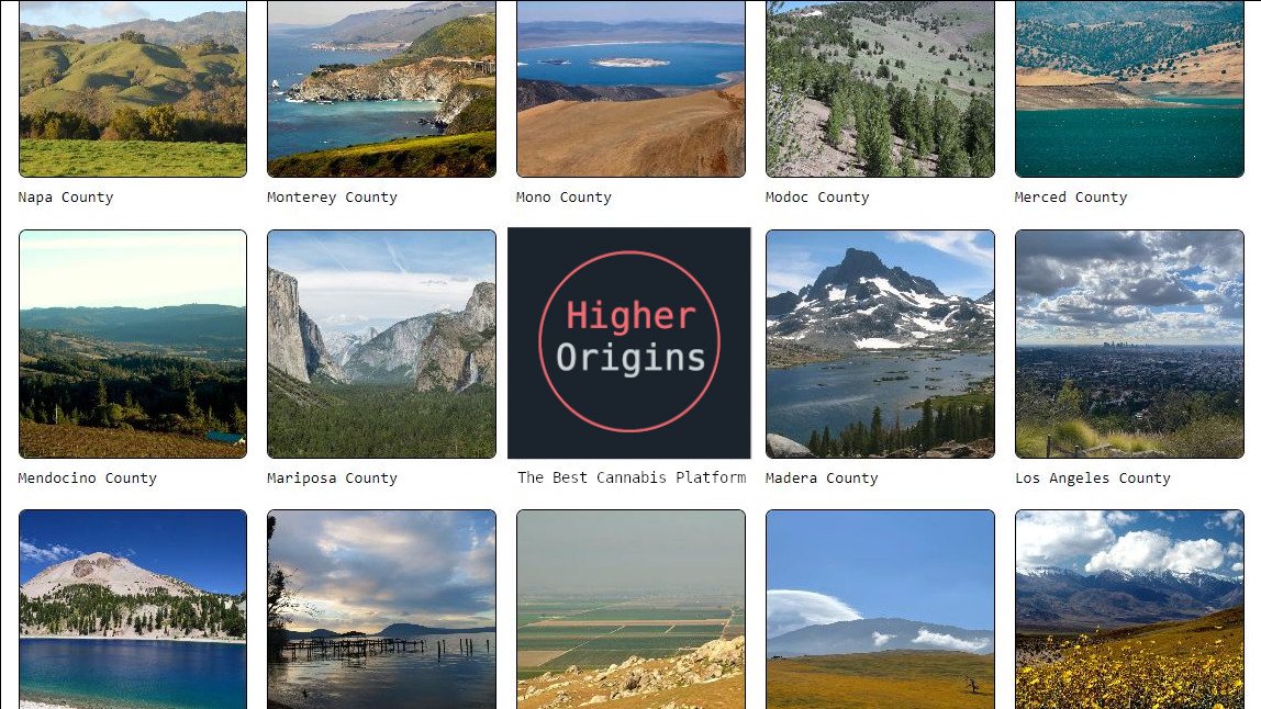 banner image for the article What's New With Higher Origins in Fall 2023