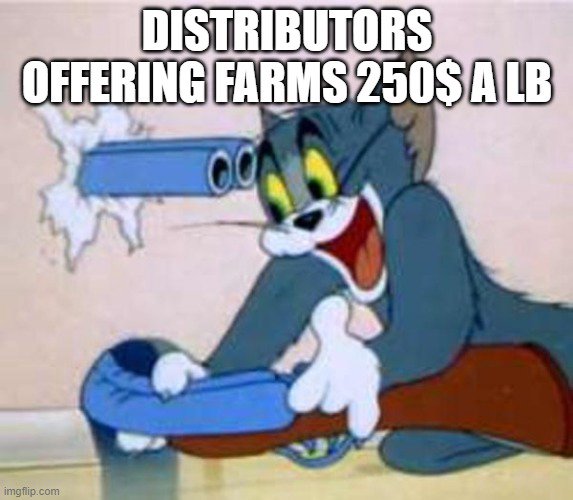 Distributors Lining up their Business Plan