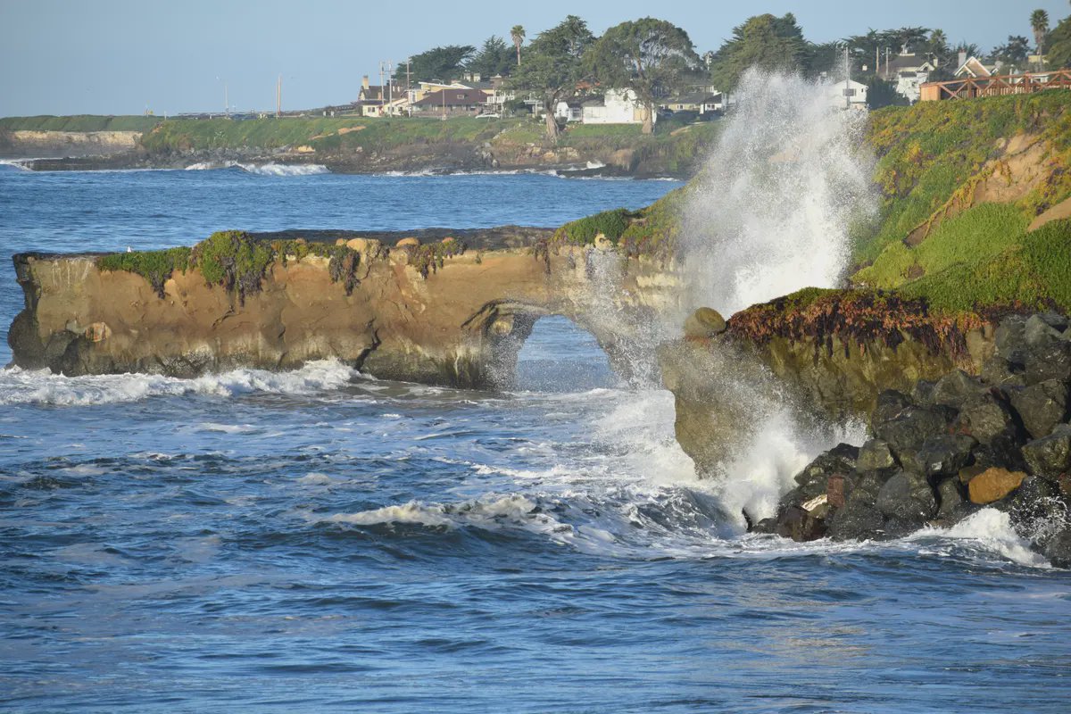Santa Cruz County header image