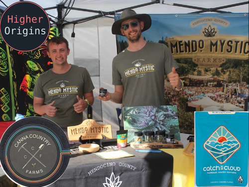 header image for Experiences With Cannabis Sales in the Heart of the Emerald Triangle