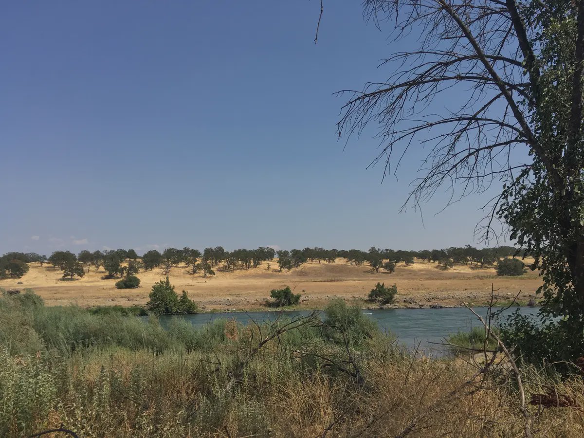 Tehama County header image