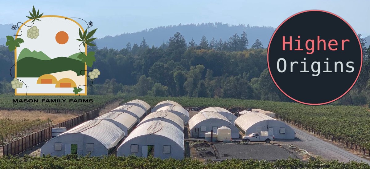 banner image for the article Farm Interview: Mason Family Farms