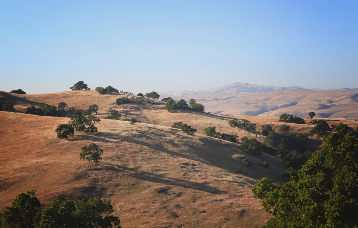 Santa Clara County header image