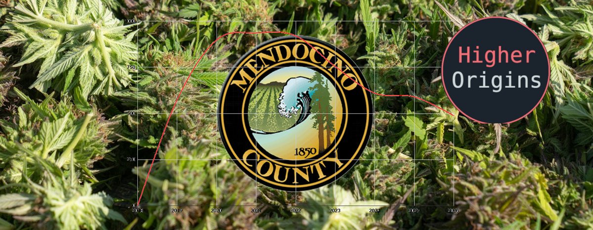 banner image for the article Mendocino County is Failing its Cannabis Industry
