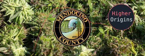 header image for Mendocino County is Failing its Cannabis Industry