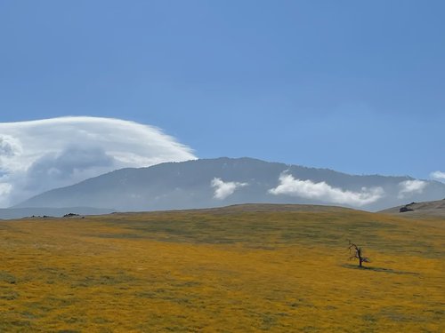 header image for region Kern County