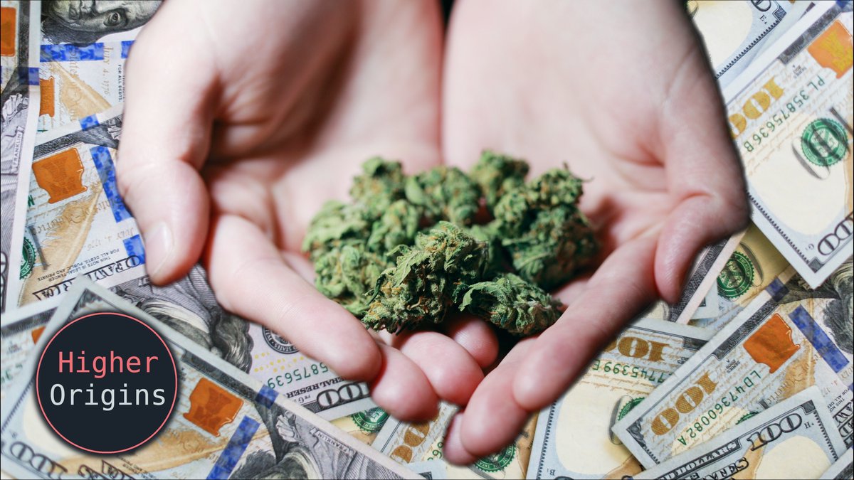 banner image for the article The Value of Small Cannabis Farms (Part 1)