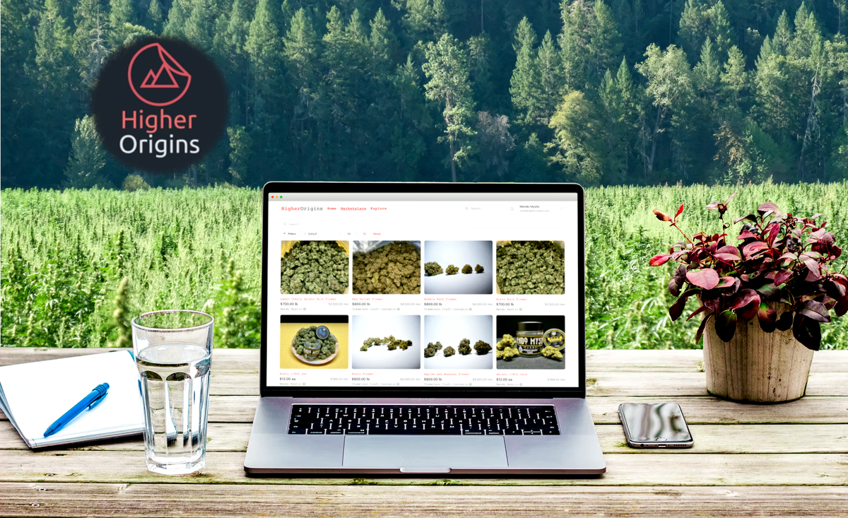 banner image for the article Announcing the Higher Origins Marketplace