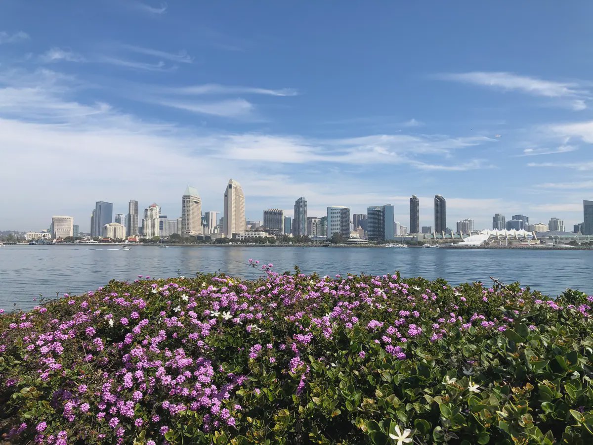 San Diego County header image