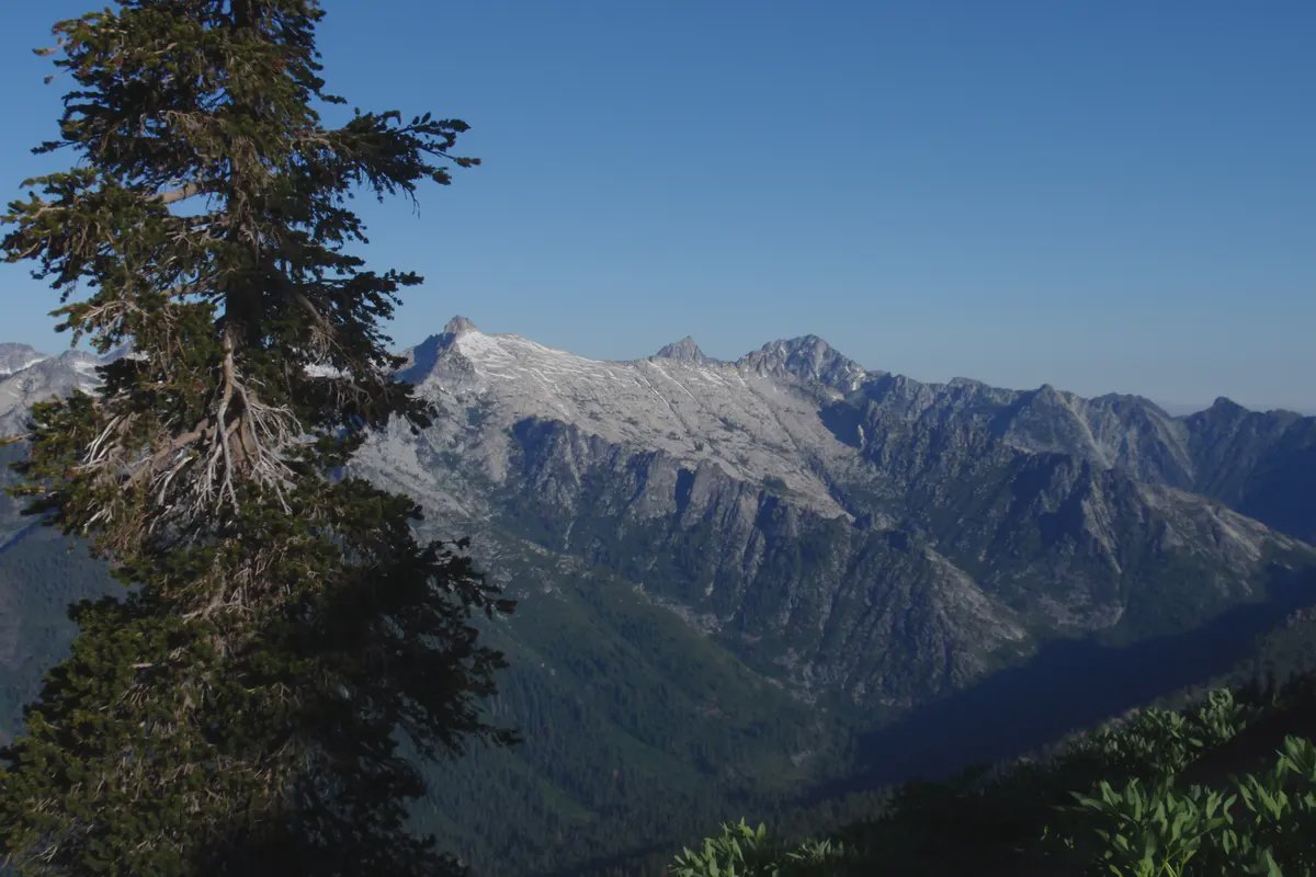 Trinity County header image