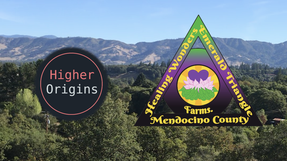 banner image for the article Farm Interview: Healing Wonders Farms, Mendocino County