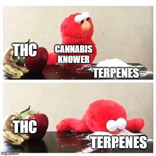 You know you know