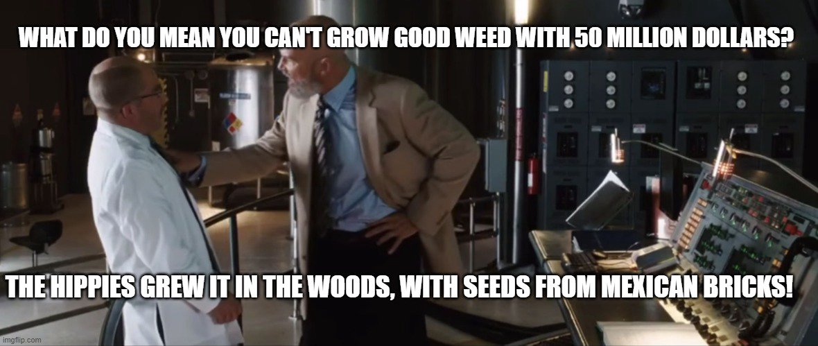 What do you mean?
