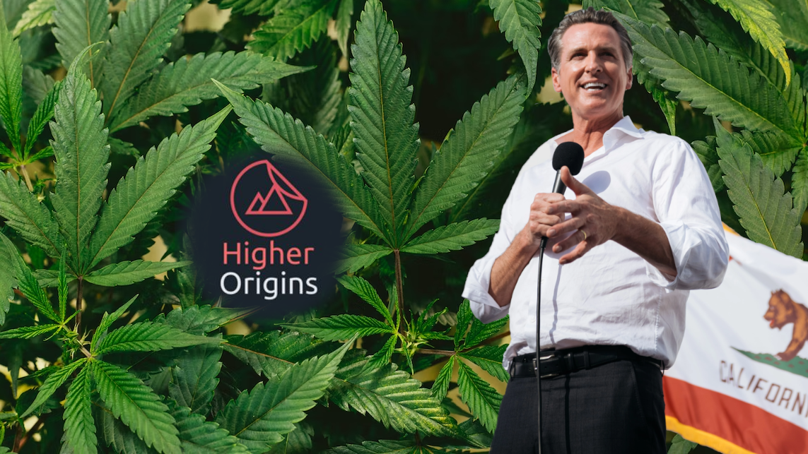 banner image for the article Newsoms 10 New Cannabis Laws: What They Are and What We Think About Them