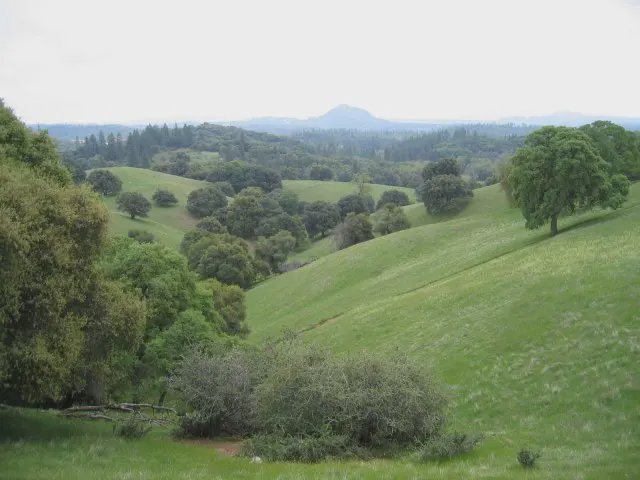 Amador County header image