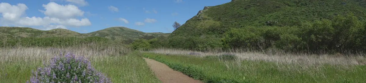Marin County header image