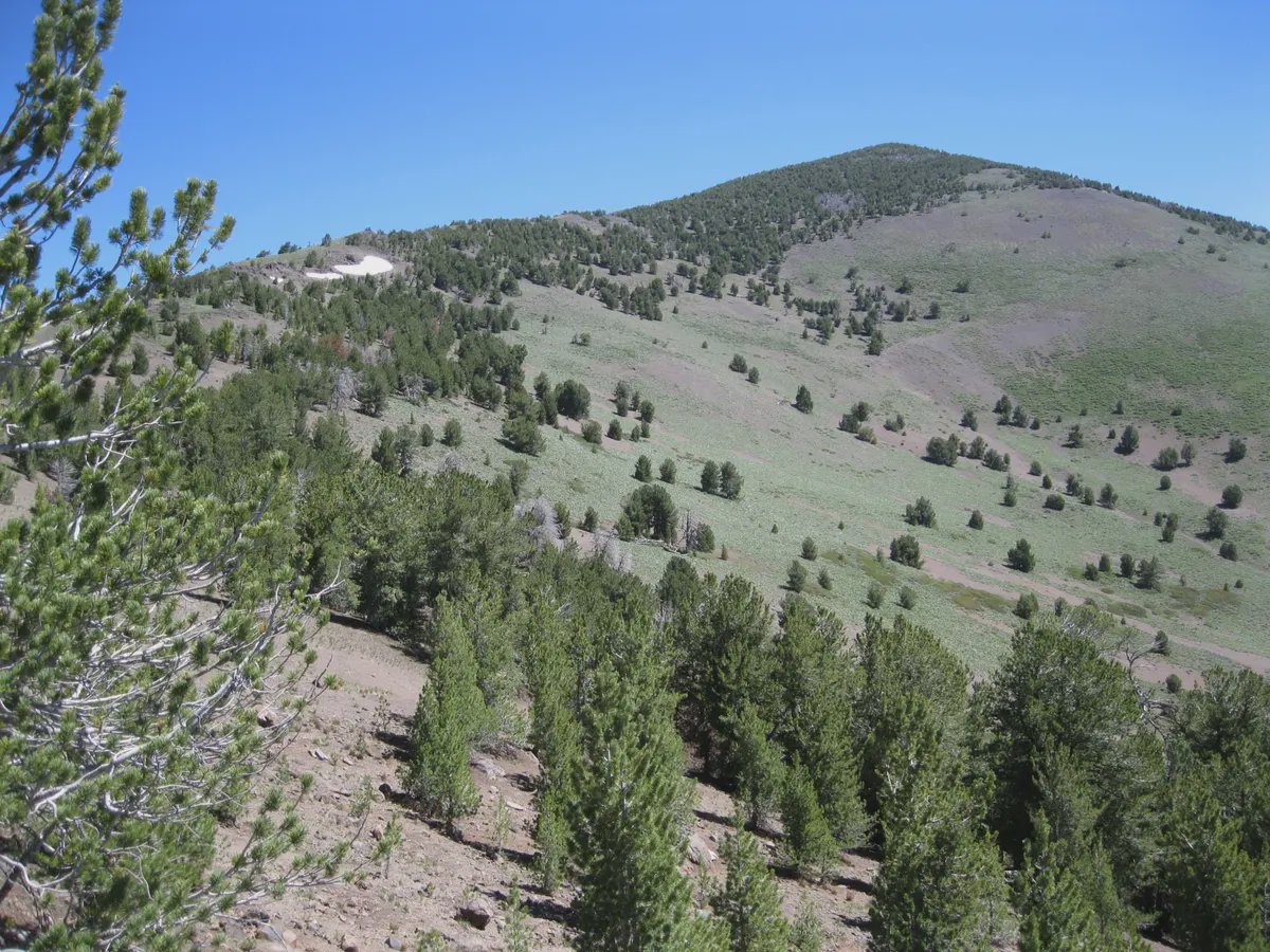 Modoc County header image