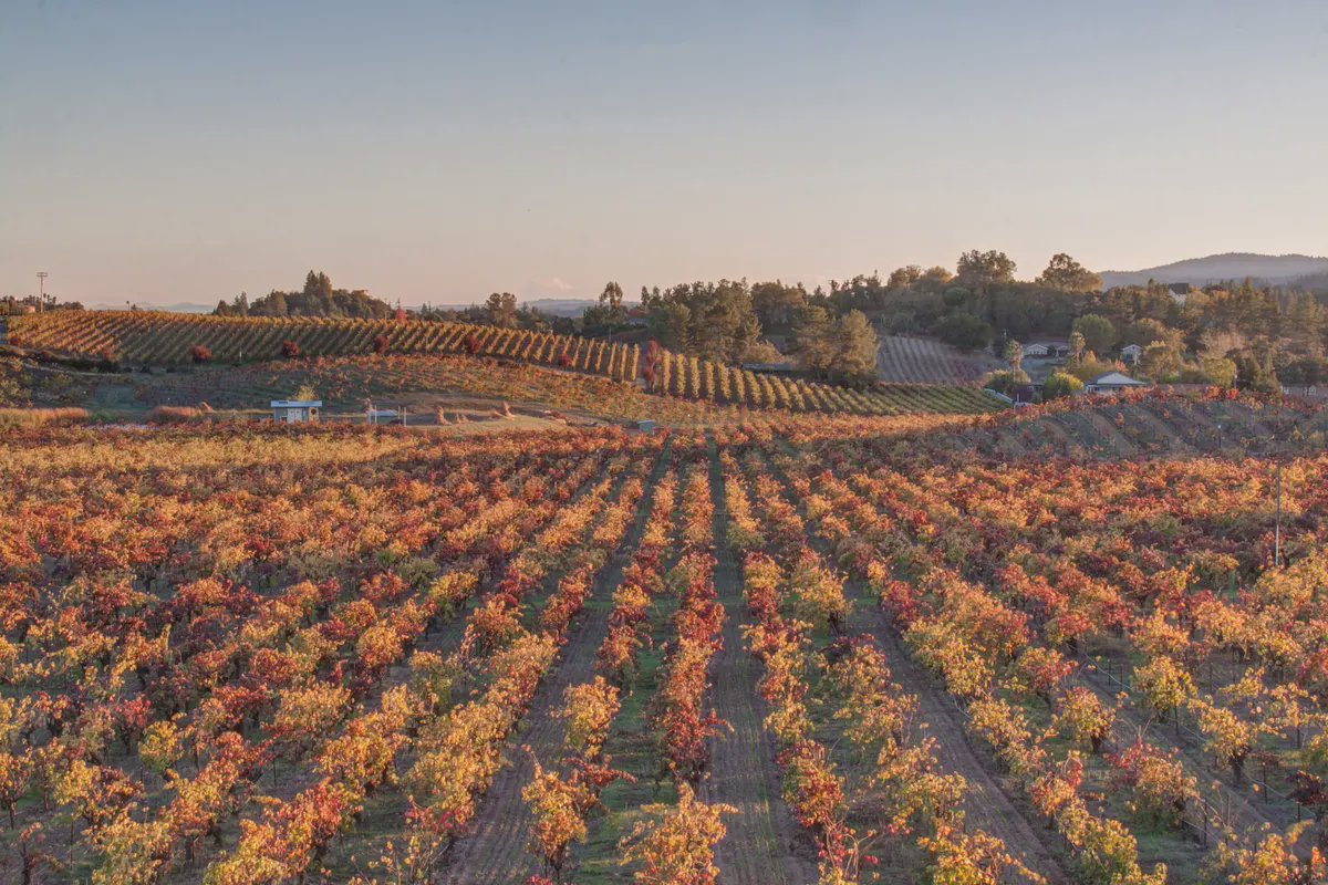 Sonoma County header image