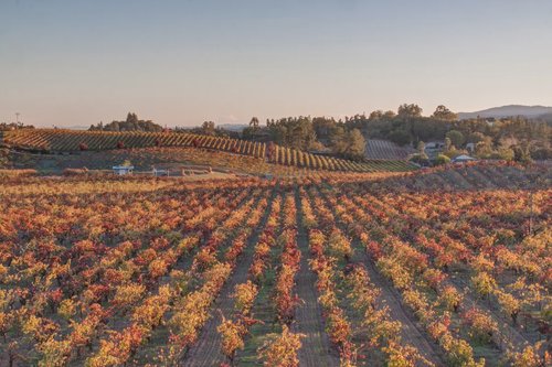 header image for region Sonoma County