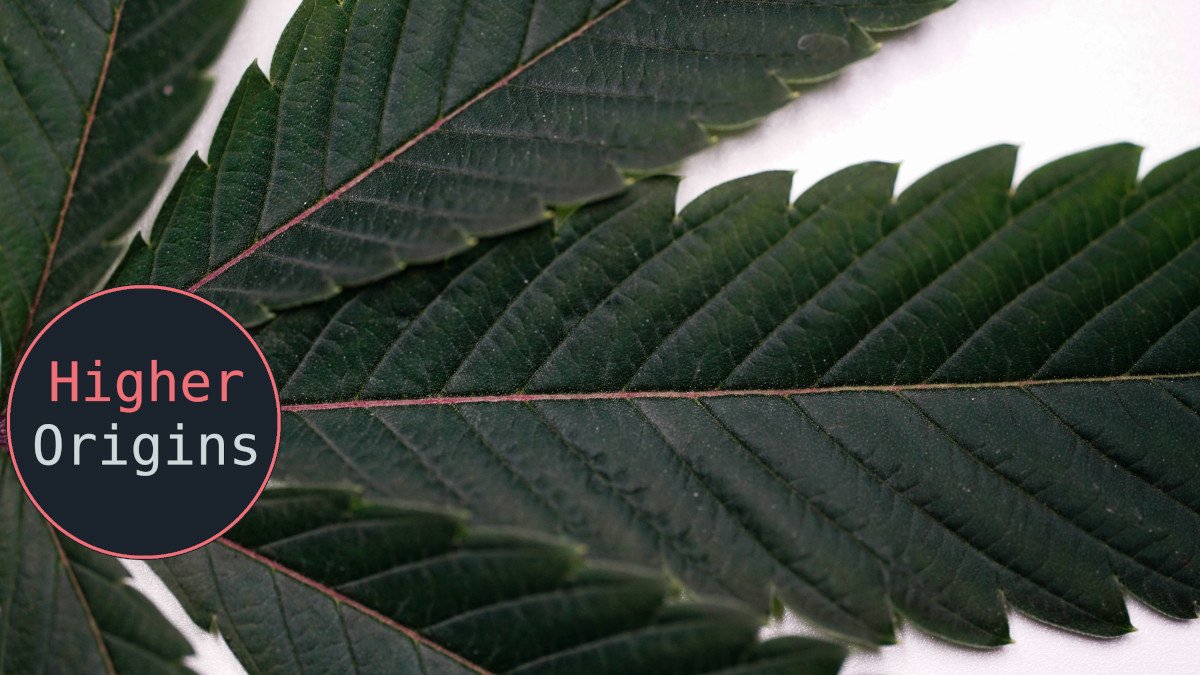 header image for California Cannabis in 2024: Analysis and Commentary