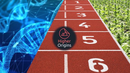 banner image for the article
