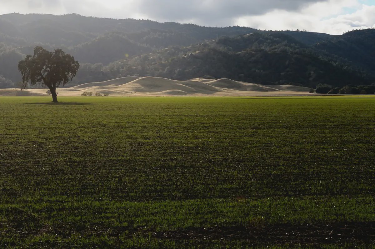 Yolo County header image