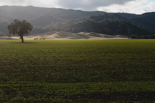 header image for region Yolo County