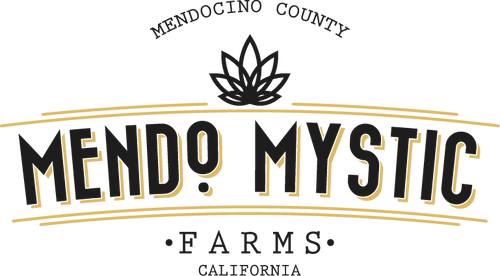 profile image for Mendo Mystic