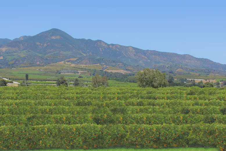 Ventura County header image