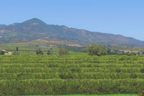 header image for region Ventura County