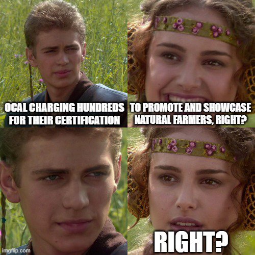 OCal doing nothing for Cannabis