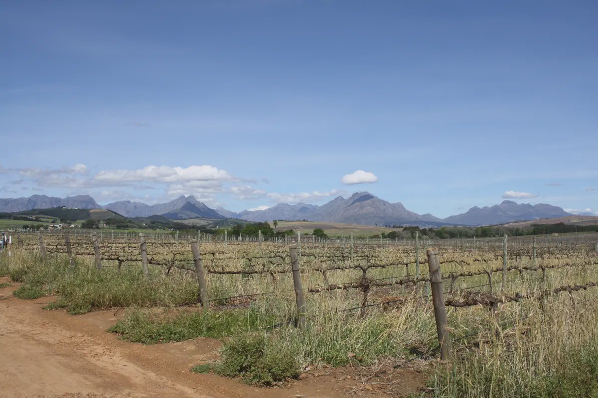 Sutter County header image